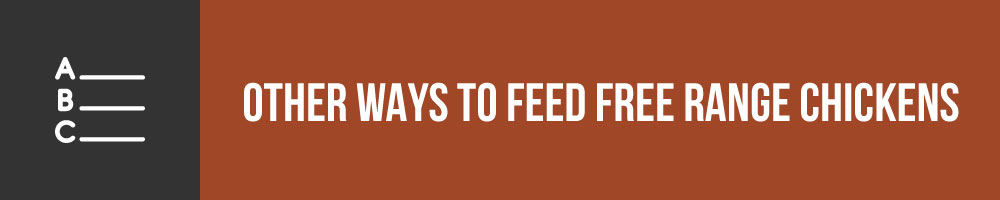 Alternative Ways To Feed Free Range Chickens Without Buying Feed