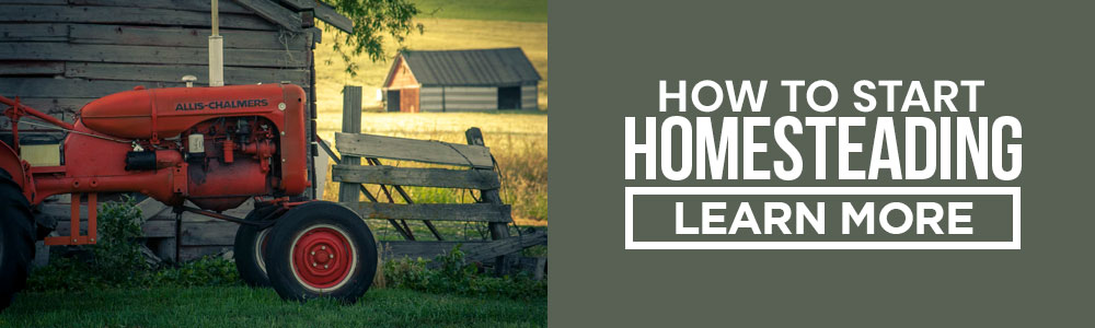 how to start a homestead