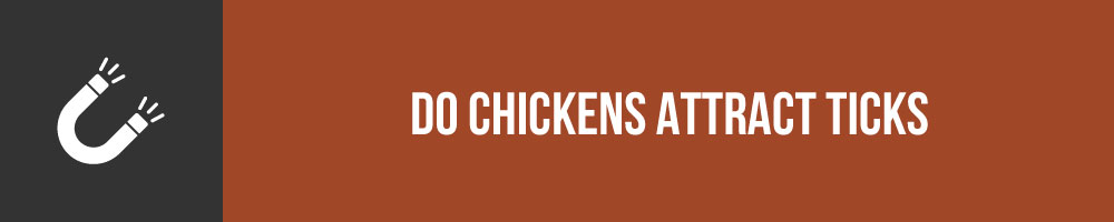 Do Chickens Attract Ticks