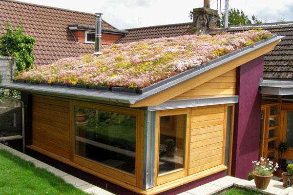 Green Roof On Sloped Roof