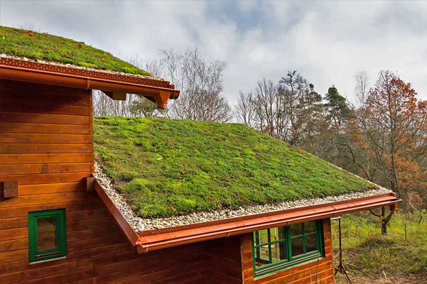 Green roof house