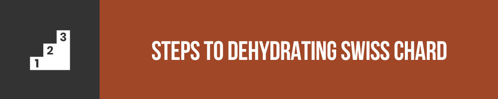 Steps To Dehydrating Swiss Chard