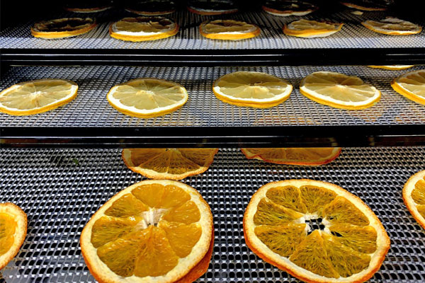 dehydrating orange slices