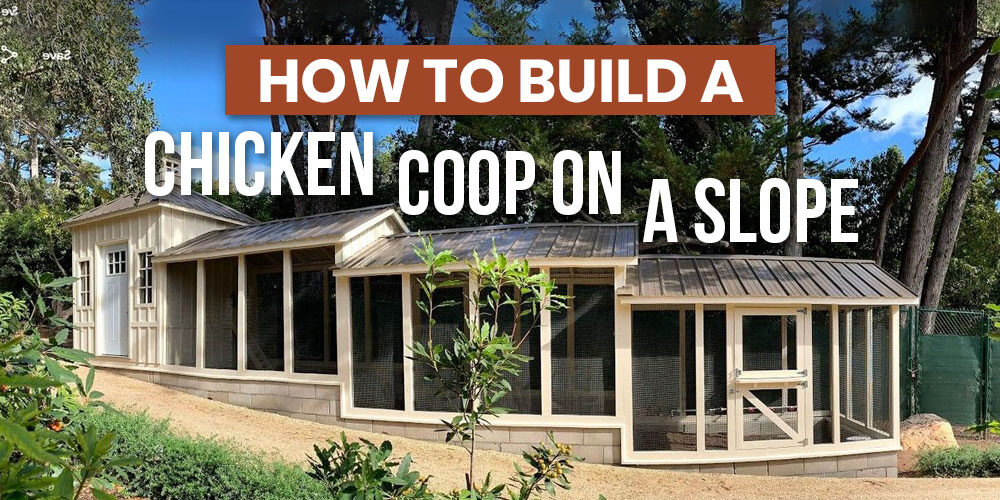 How To Build A Chicken Coop On A Slope: A Hillside Hen Haven