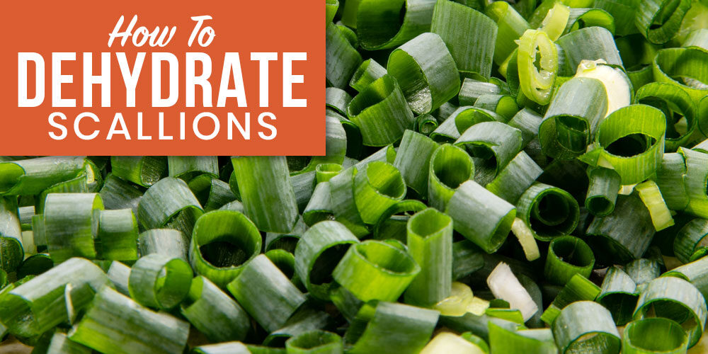 How To Dehydrate Scallions And Reap The Rewards All Year