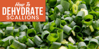 how to dehydrate scallions