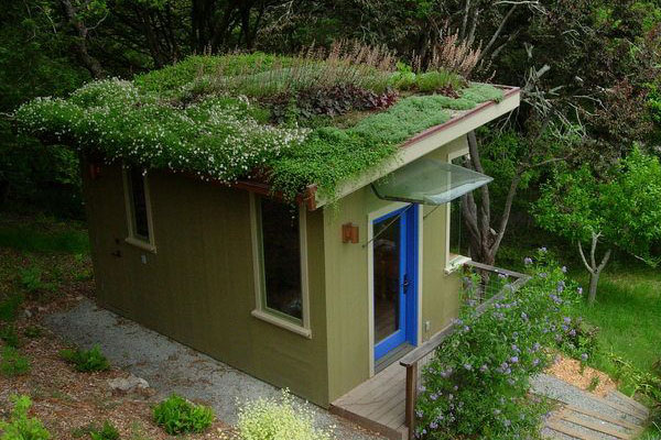 diy green roof design