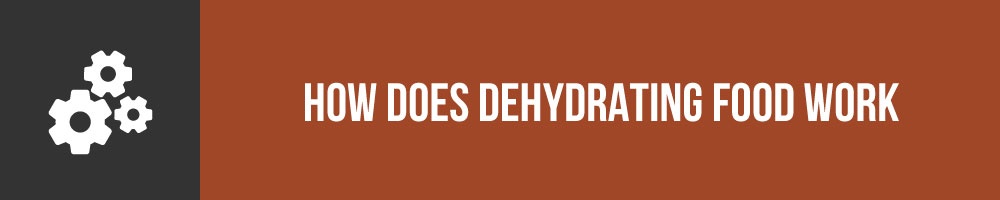 How Does Dehydrating Food Work
