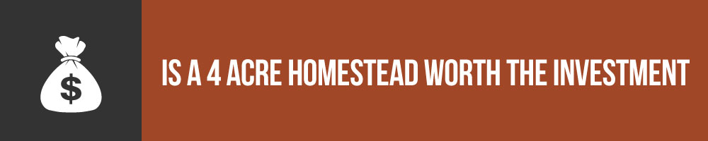 Is A 4 Acre Homestead Worth The Investment