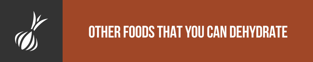 Other Foods That You Can Dehydrate