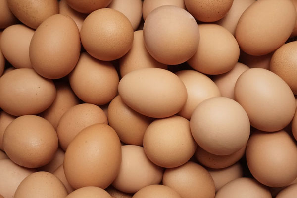 chicken eggs from a homestead farm