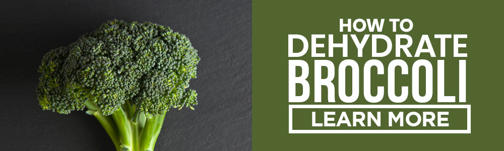 dehydrating broccoli
