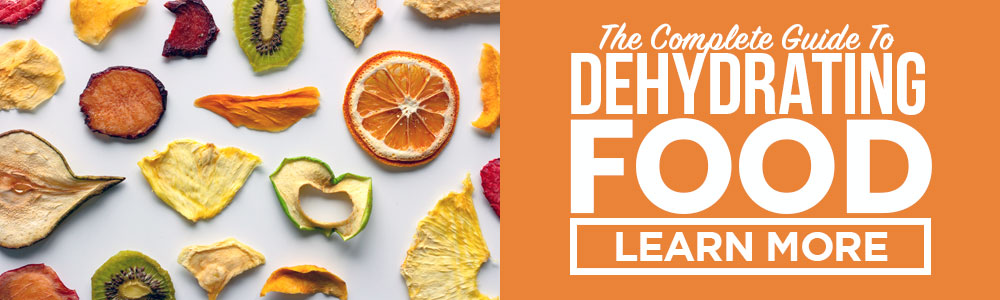 guide to dehydrating food