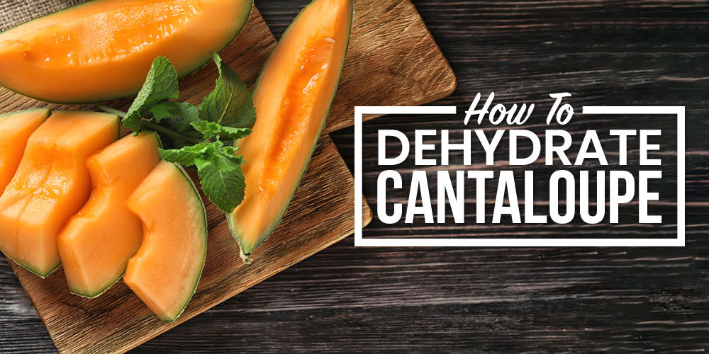 Dehydrating Cantaloupes: What You Need to Know