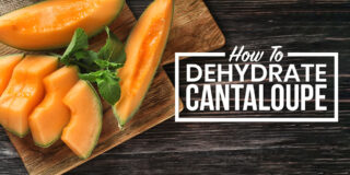 how to dehydrate cantaloupe