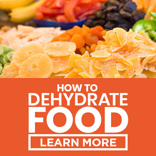 how to dehydrate food square cta