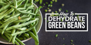 how to dehydrate green beans