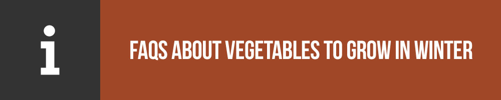 FAQs About Vegetables To Grow In Winter