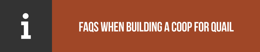 FAQs When Building A Coop For Quail