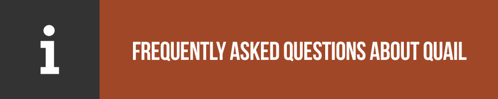 Frequently Asked Questions About Adult Quail