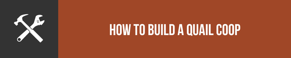 How To Build A Quail Coop