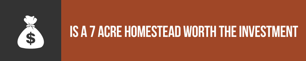 Is A 7 Acre Homestead Worth The Investment