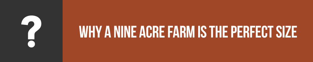 Why A Nine Acre Farm is The Perfect Size Homestead