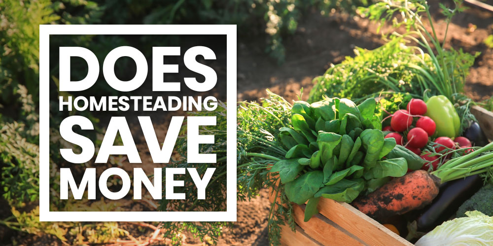 does homesteading save money