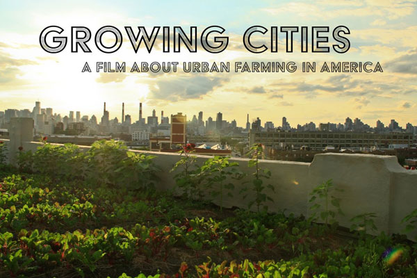 growing cities