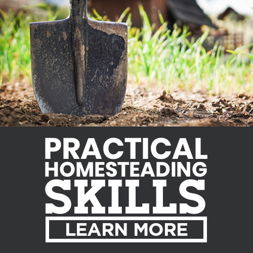 homesteading skills