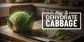 how to dehydrate cabbage