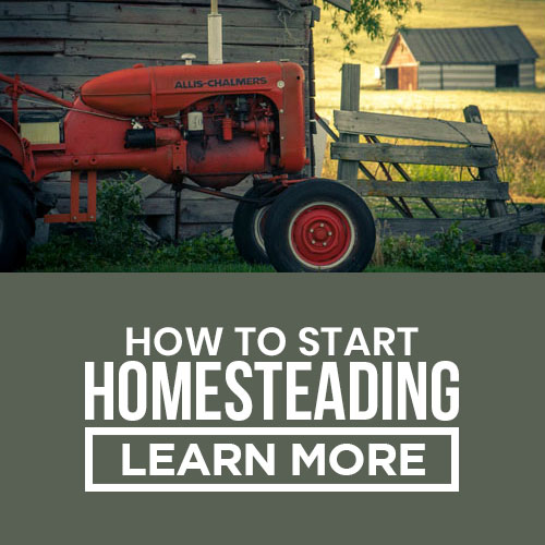 how to start homesteading square cta