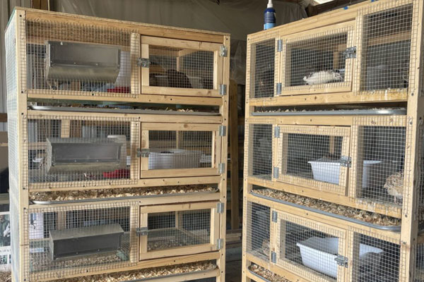 quail coops stacked up