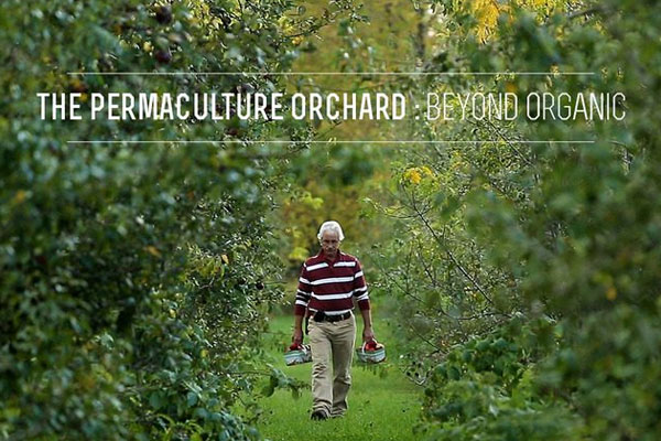 the permaculture orchard