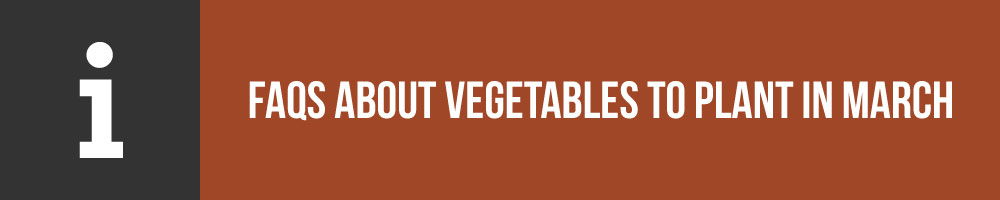 FAQS About Vegetables To Plant In March
