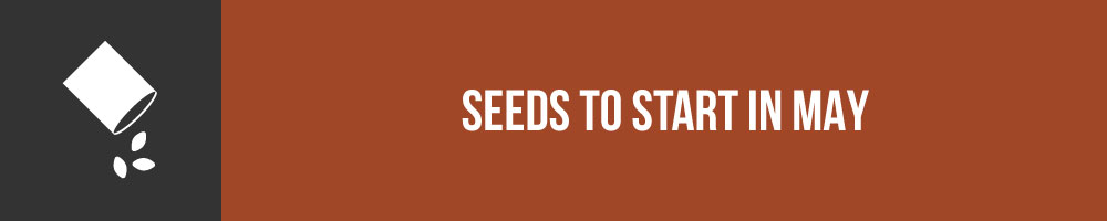 Seeds to Start in May