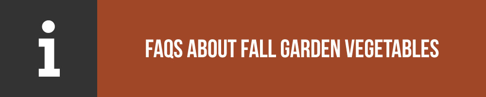 FAQs About Fall Garden Vegetables