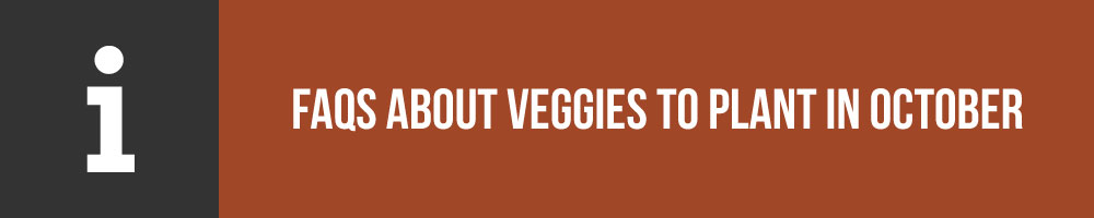 FAQs About Veggies To Plant In October