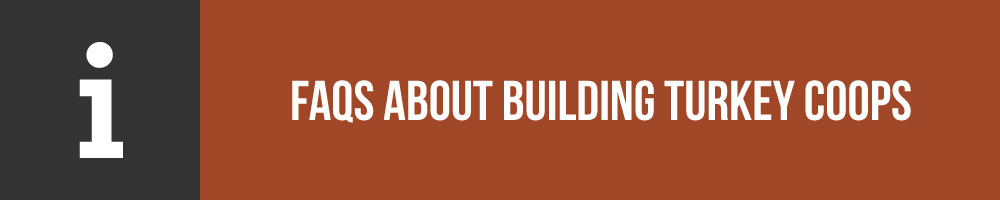 FAQs About Building Turkey Coops