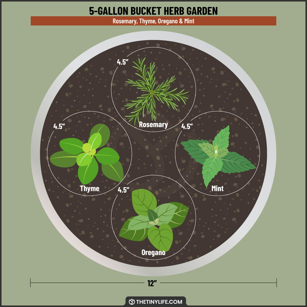 5 gallon bucket herb garden layout
