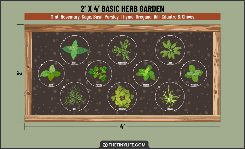 basic herb garden 2x4 layout