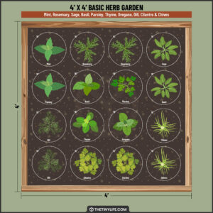 Thyme To Grow: 27 High-Production Herb Garden Layouts - The Tiny Life