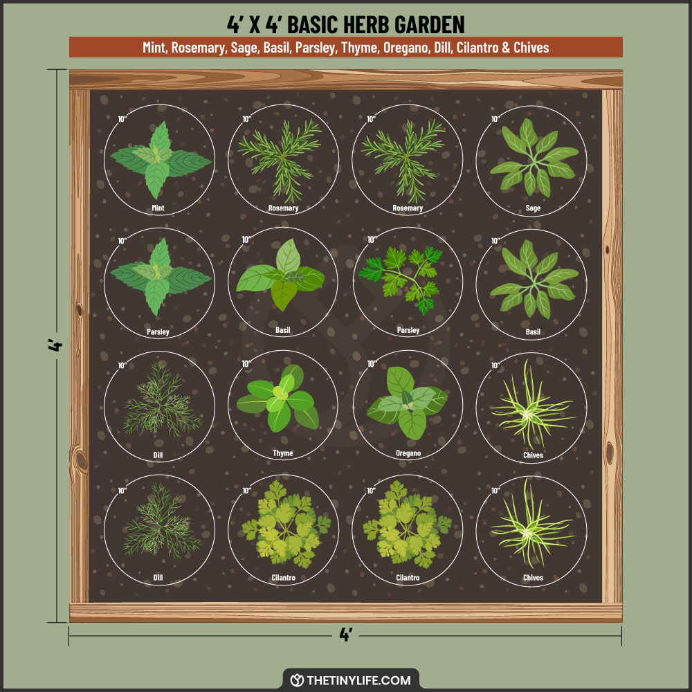 basic herb garden 4x4 layout