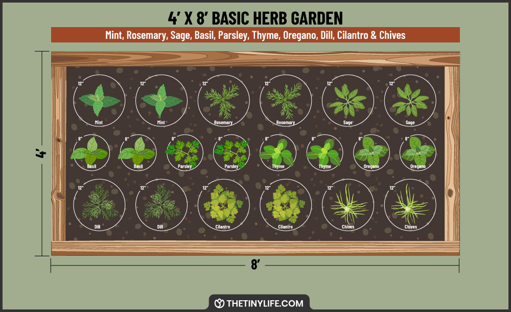 basic herb garden 4x8 layout