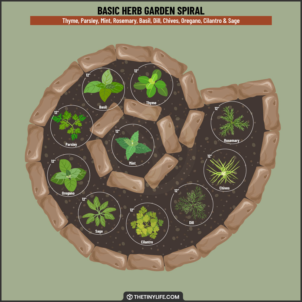 basic herb garden spiral layout