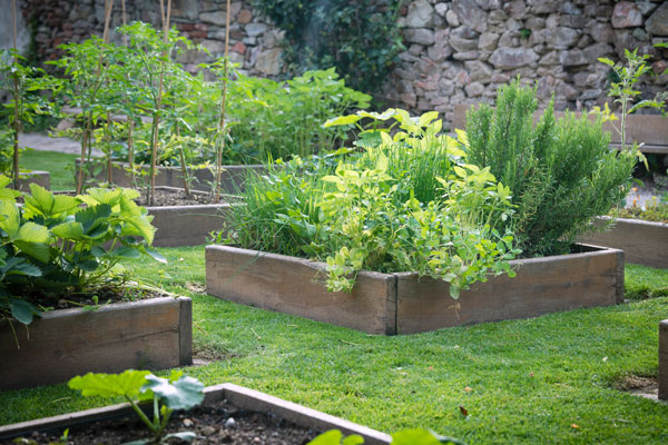 best herb garden layout