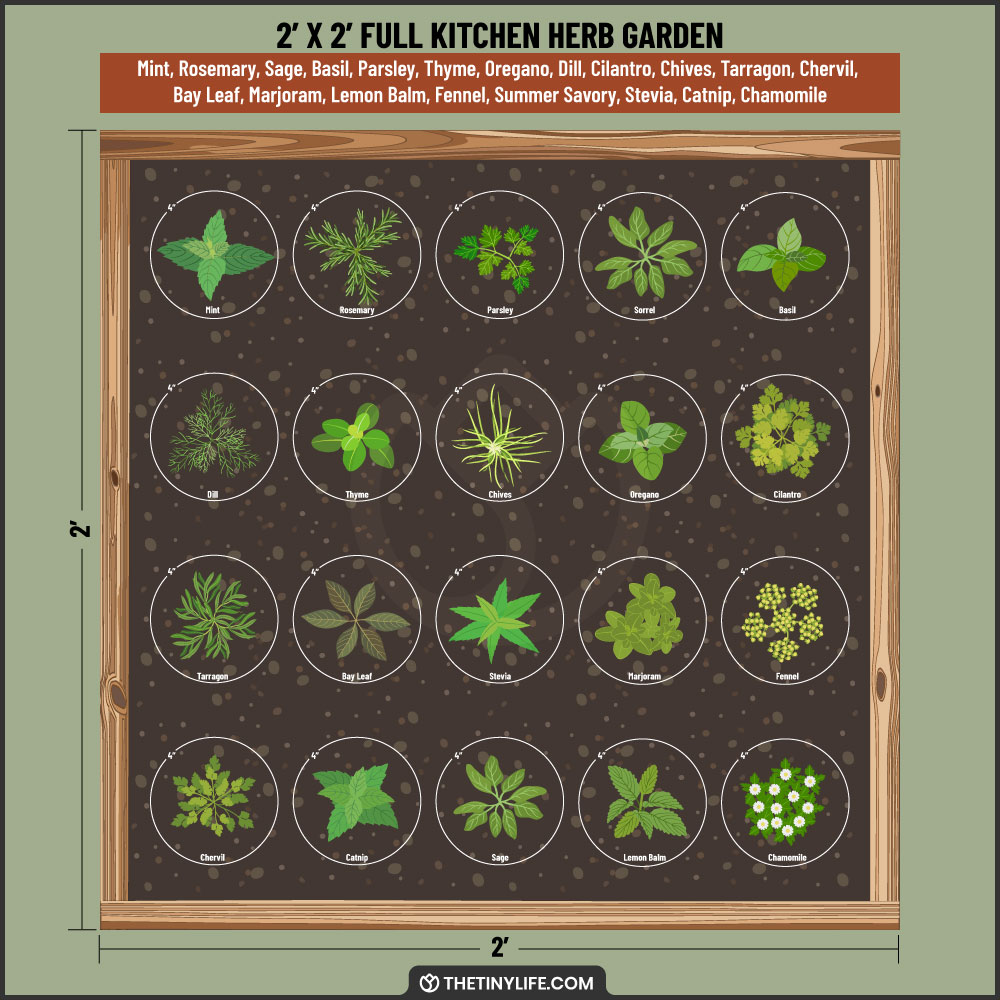 full kitchen herb garden 2x2 layout