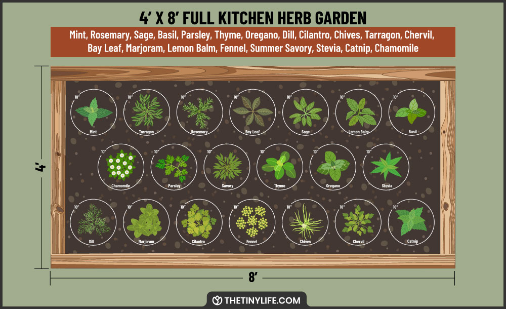 full kitchen herb garden 4x8 layout