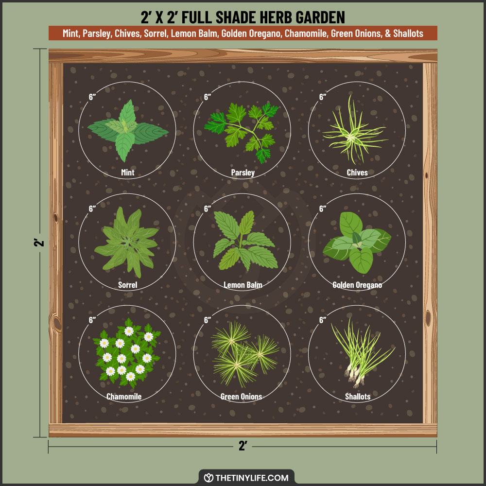 full shade herb garden 2x2 layout