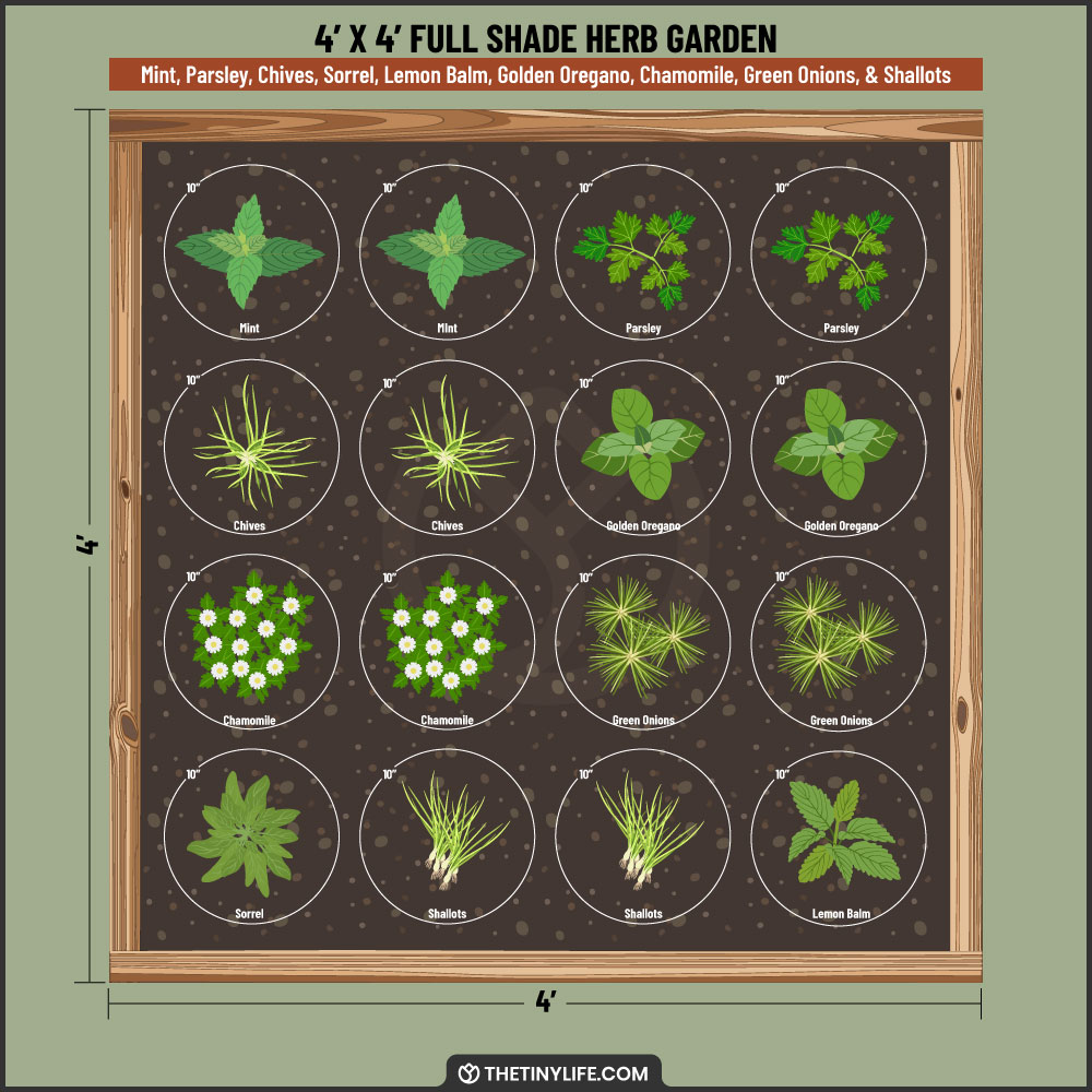 full shade herb garden 4x4 layout